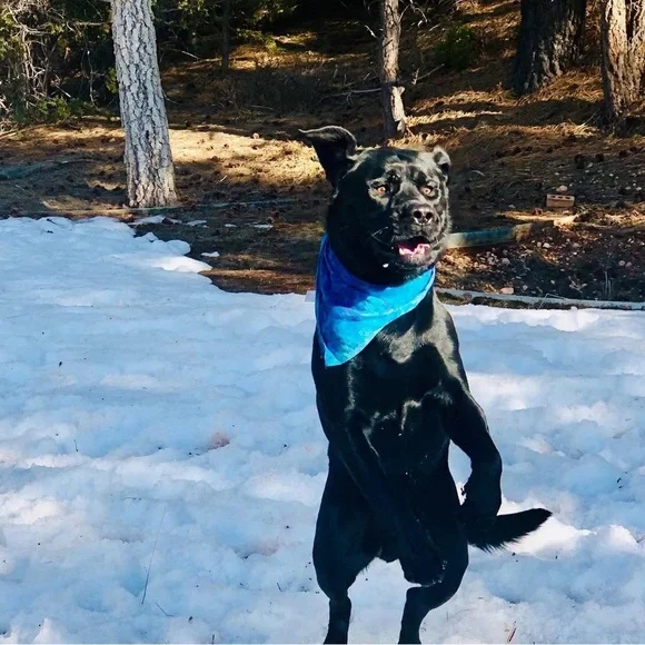 Quick list item - Picture 1 of 7